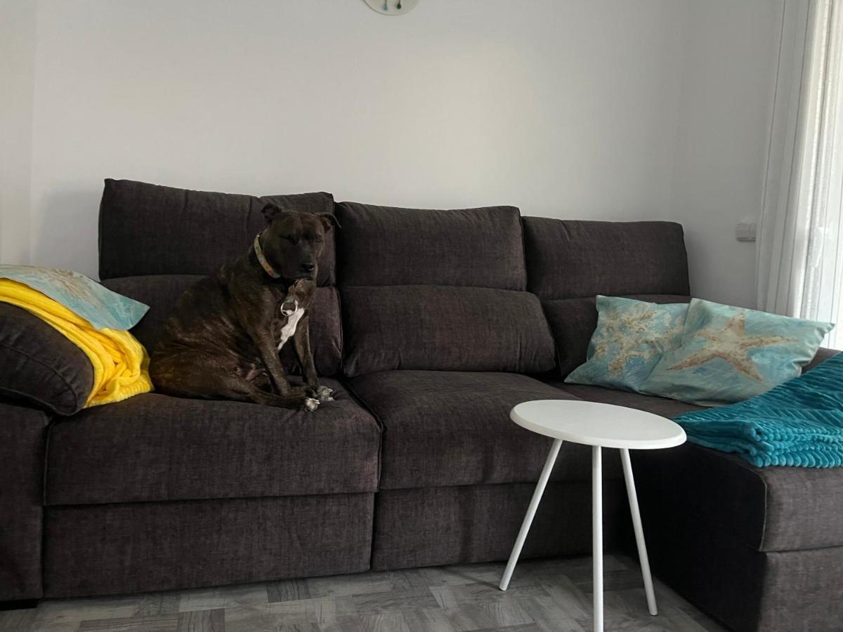 Apartament Piso Rita Roses Zewnętrze zdjęcie